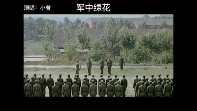 经典军旅歌曲《军中绿花》