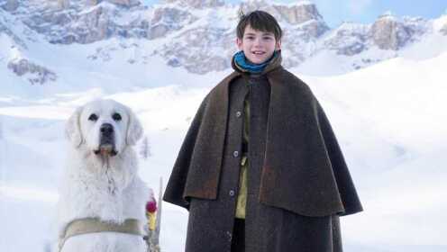 雪山美景中懂事善良的灵犬雪莉还记得吗，它还是那么懂事值得敬佩#电影HOT大赛#
