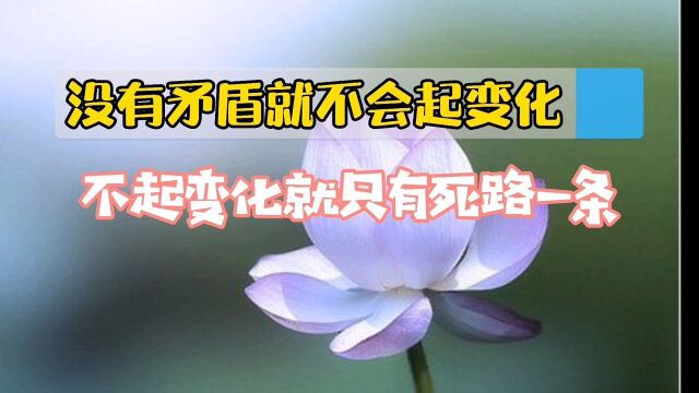 曾仕强:只有矛盾才会起变化,不起变化就只有死路一条