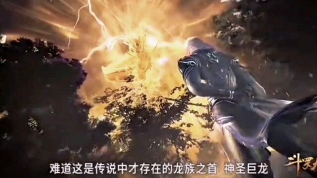 斗罗大陆:盘点封号斗罗的武魂真身