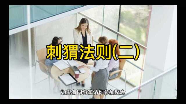 刺猬法则二:职场生存之道