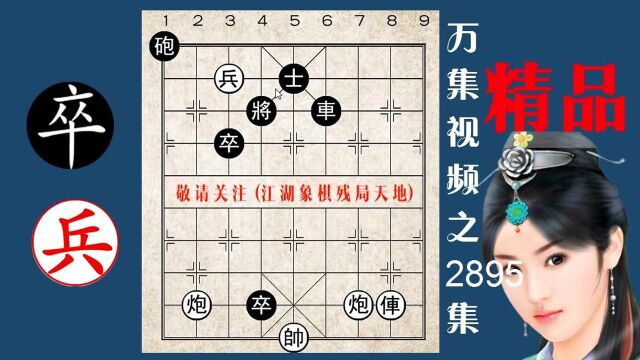 2895精巧扁担炮