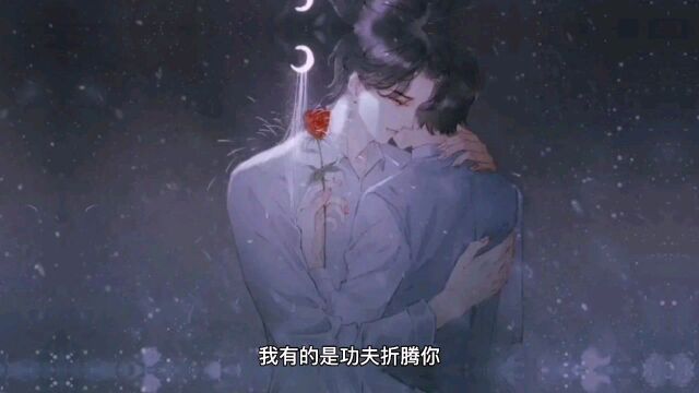 碎玉投珠:我要和你举案齐眉