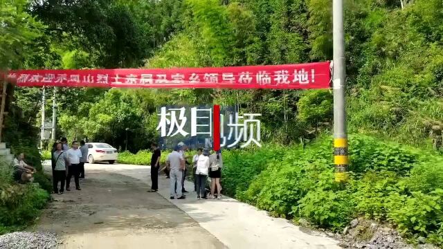 跨越72年的寻亲之路,湖北通山一家四代为烈士寻亲