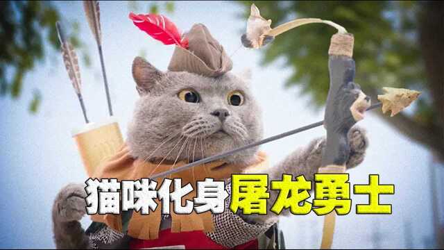 猫咪化身屠龙勇士,危机时刻救下公主,从此人才两得!#鹅斯卡征稿大赛第一季#