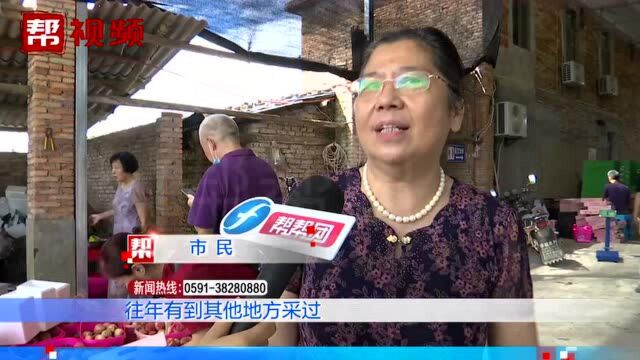 恰逢桃子成熟季,记者带你畅游“世外桃源”,品味新鲜可口的桃子