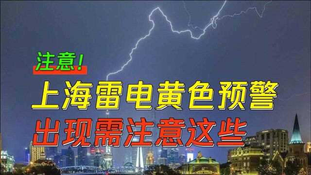 上海发布雷电黄色预警,雷电天有哪些避雷事项呢?