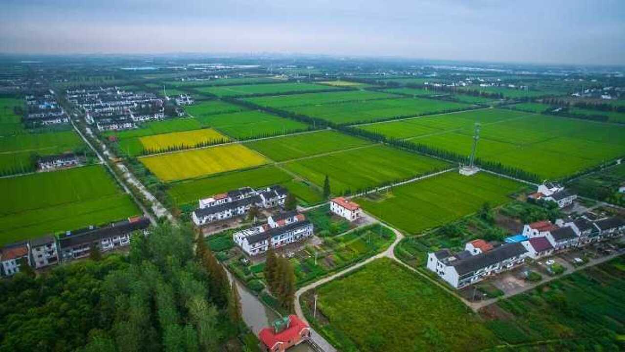 上海市松江区泖港镇胡光村