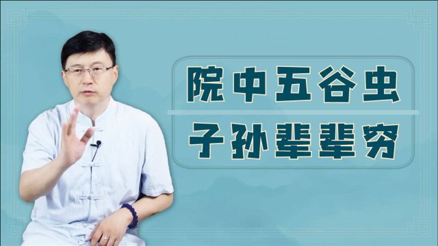 “院中五谷虫,子孙辈辈穷”,常见的老物件,为啥被叫五谷虫?