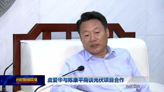 虞爱华与陈康平商谈光伏项目合作