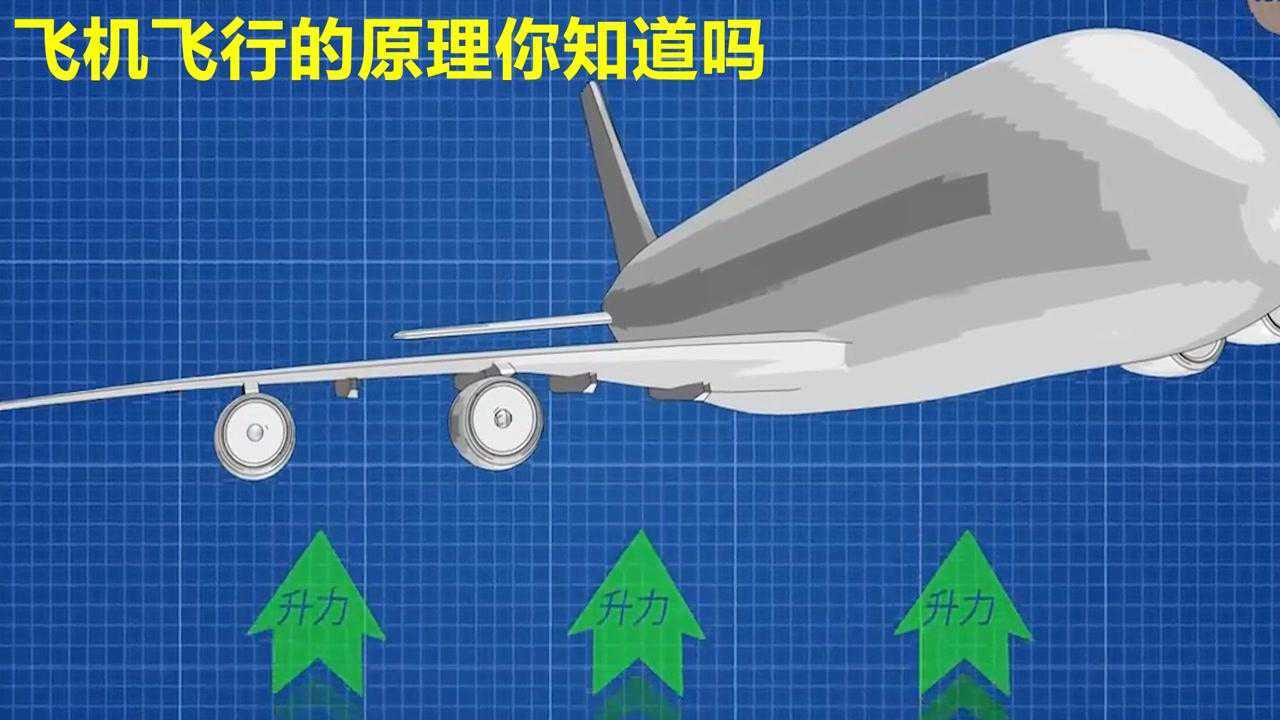 飞机飞行的原理是什么，机翼来改变气流的流动方向，机翼下方和上方的压力差产生了升力#知识π计划-知识抢先知#_高清