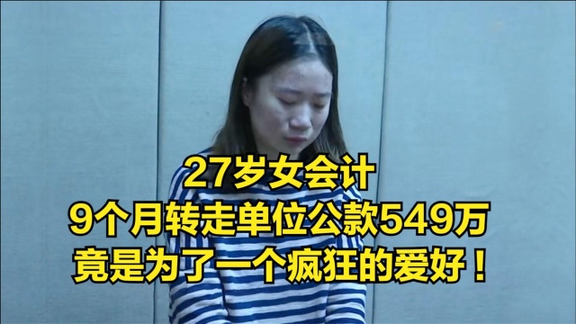 27岁女会计,9个月转走单位公款549万,竟是为了一个疯狂的爱好