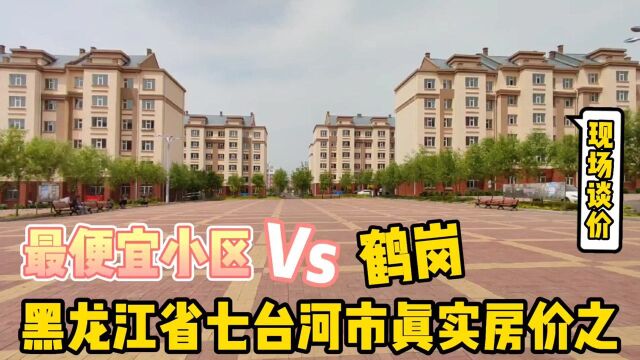 黑龙江省七台河市真实房价之,最便宜的小区敢与鹤岗PK房价,实地探房现场谈价