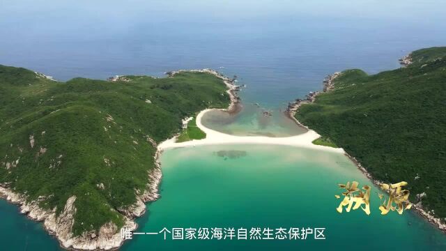 国家级海洋生态自然保护区(海南万宁大洲岛)宣传片,世界联合基金会邀请你成为新岛主.