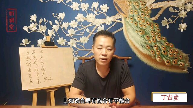 丁吉虎四柱八字预测培训课,地支六合的合化规则和产生的效应