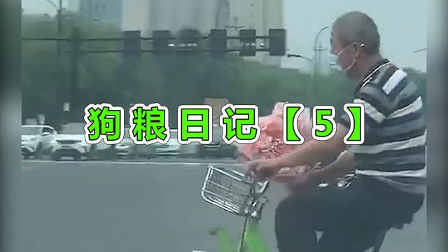 狗粮日记【5】:愿你们有美好的未来!