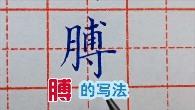 字总是写不到格子中间?学会观察字形结构来分析,干货分享膊