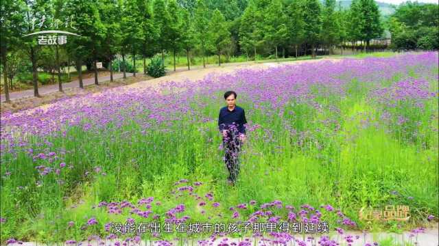 《纪录品牌》南山花园:美岕在山水之间