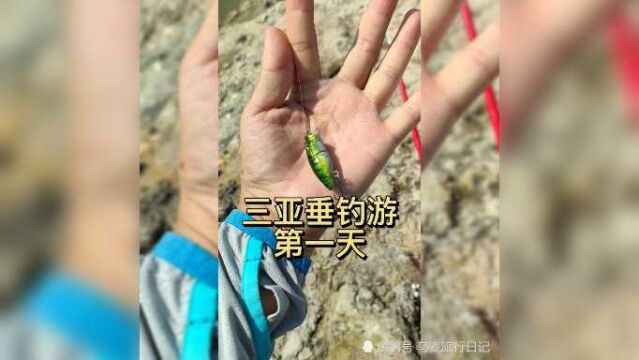 三亚游钓之旅第一天