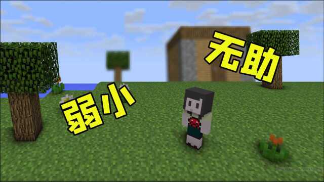 我的世界末日纪元EP2:弱小无助无家可归