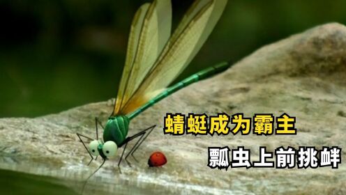 蜻蜓破坏森林和谐，瓢虫化身超级英雄，捍卫家园的安宁 #电影HOT短视频大赛 第二阶段#