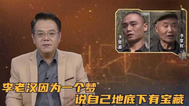 李老汉因为一个梦,说自己地底下有宝藏,开始想方设法:挖宝