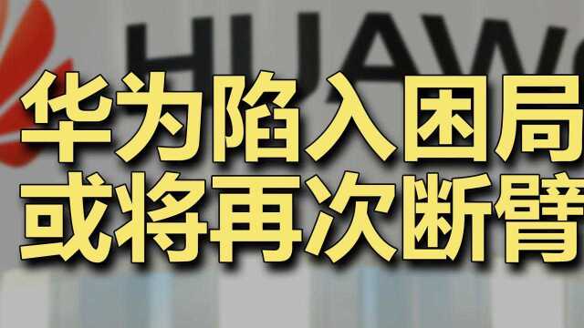 华为陷入困局,或将再次断臂,这次它选择砍掉什么业务呢? #财经热榜短视频征集#