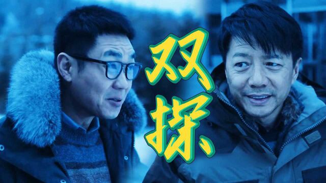 真实事件改编,段奕宏大鹏雪原追凶,网剧《双探》速懂 #《双探》短视频征稿赛#