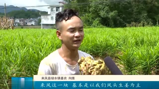 来凤县绿水镇:聚力美丽城镇建设 擦亮共同富裕底色