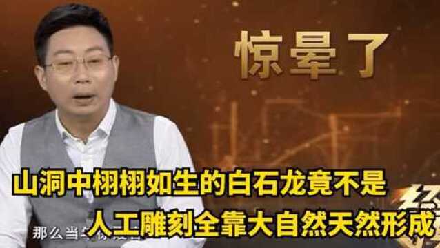 山洞中栩栩如生的白石龙,竟不是人工雕刻,完全靠大自然鬼斧神工天然形成