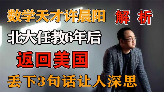 学成归来报效祖国,北大任教6年后却返回美国,丢下3句话让人深思