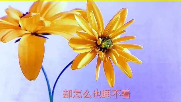 花开静谧无声