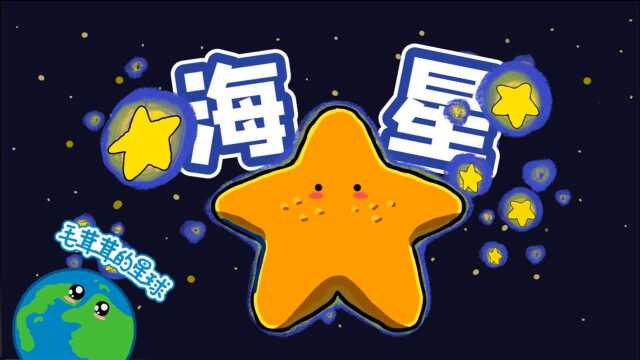 海星是感人密友还是恐怖异形?