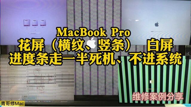 MacBook Pro 花屏 白屏 竖条 横纹 进度条走一半死机 不进系统