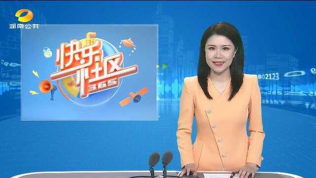 长沙望麓园街道:小亭子里有大乾坤 各类服务全免费