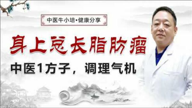 身上总长脂肪瘤是什么原因?中医1方子,调理气机,祛湿活血!