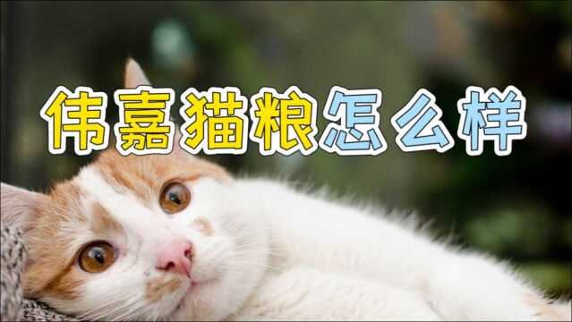 伟嘉猫粮怎么样