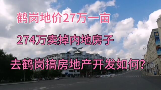 鹤岗地价27万一亩,274万卖掉老家房子,去鹤岗开发房地产如何?