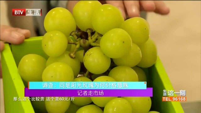 记者走市场 调查:同是阳光玫瑰为何价格悬殊