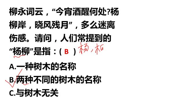 语文:“杨柳岸,晓风残月”,人们常提到的“杨柳”,指什么