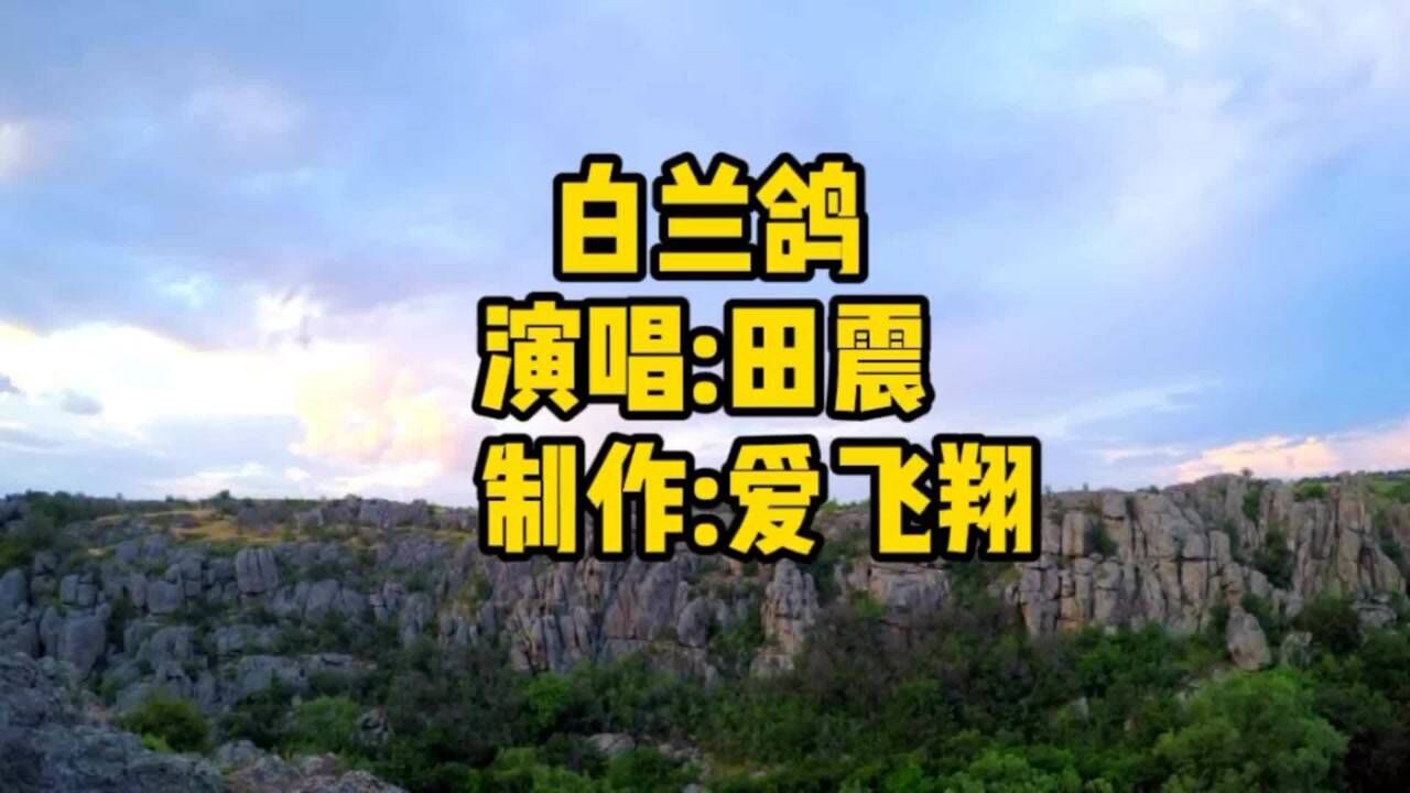 田震一首经典歌曲白兰鸽哦它是一只白兰鸽爱在那长空飞翔