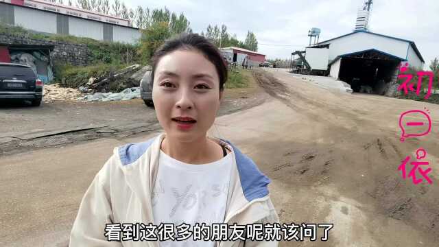 黑龙江鸡西九月玉米价格,对比去年是涨是跌?看看大家怎么说