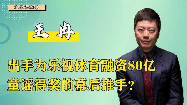 身家雄厚名下15家公司,帮贾跃亭融资80亿,童谣拿奖背后的推手?