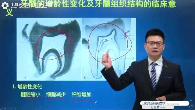 口组:牙髓的增龄性变化及牙髓组织结构的临床意义