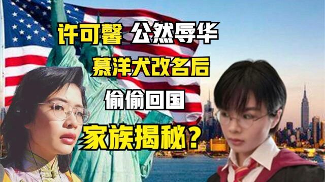 改名后偷偷回国!卖国贼人人喊打,许可馨“家世背景”究竟如何?