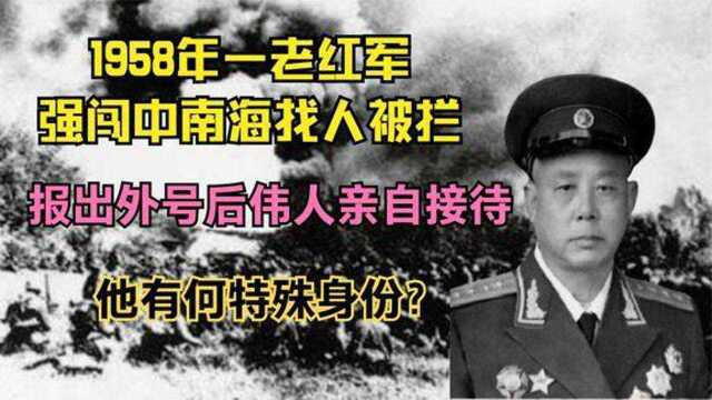 一老红军强闯中南海被拦,气急报出外号后伟人亲自接待,他是谁