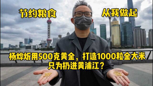 艺术家杨烨炘用500克黄金,打造1000粒金大米,只为扔进黄浦江?