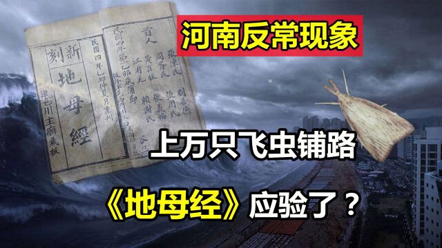 河南出现反常现象,上万只飞虫铺满马路,《地母经》预言应验了?