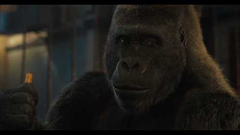 《独一无二的伊万》真实事件改编，会画画的大猩猩，为了回到森林，开始了一段不可思议的旅程