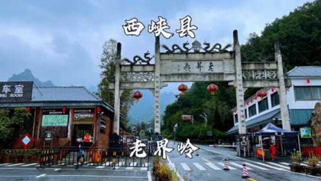 河南省西峡县,老界岭风景区,国家5A旅游景区,云雾缭绕的老界岭